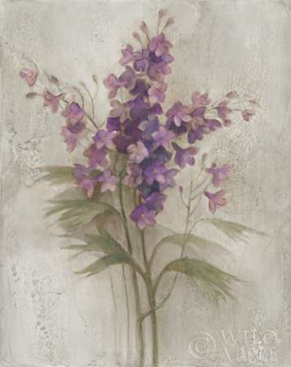 Purple Larkspur Garden on Grey Poster Print by Albena Hristova - Item # VARPDX24465